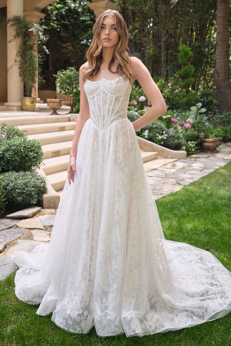 Charming Floral Lace Embellished Modern Bridal Gown w/ Scoop Neckline & Corset Bodice CDWL069